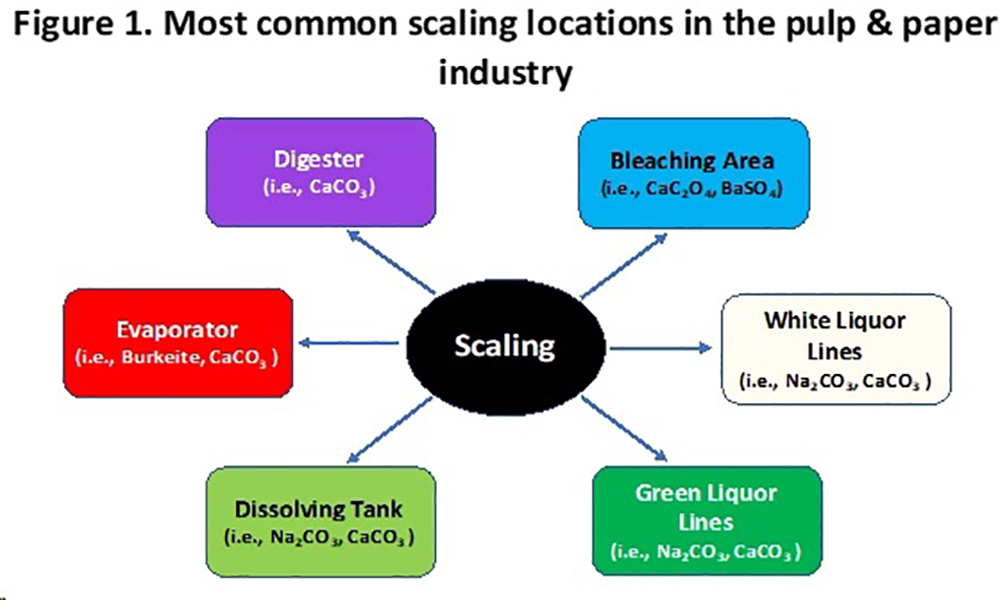Scale Processing Paper and Wood|Scaling in Kraft Continuous Cooking Digesters